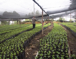 Convocatoria de puesto de trabajo: Personal técnico para el Área de Gestión de Proyectos y Servicios de Asesoría